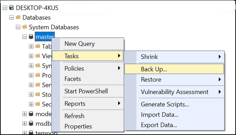 Backup the entire server database 